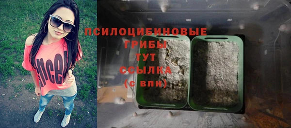 крисы Алзамай
